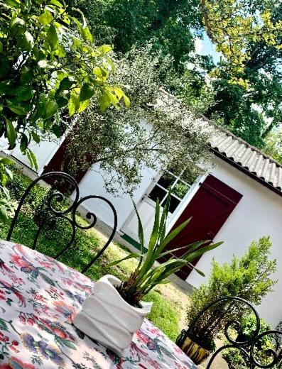 Studio A Linxe Entre Terre Et Ocean Екстериор снимка